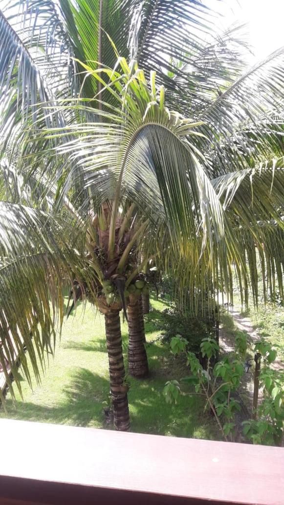 Pousada Do Dorinho Ilhabela Buitenkant foto